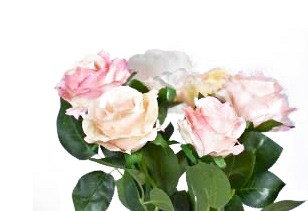 Růže květ 1ks/stonek 70cm-mix barev | Dekorace